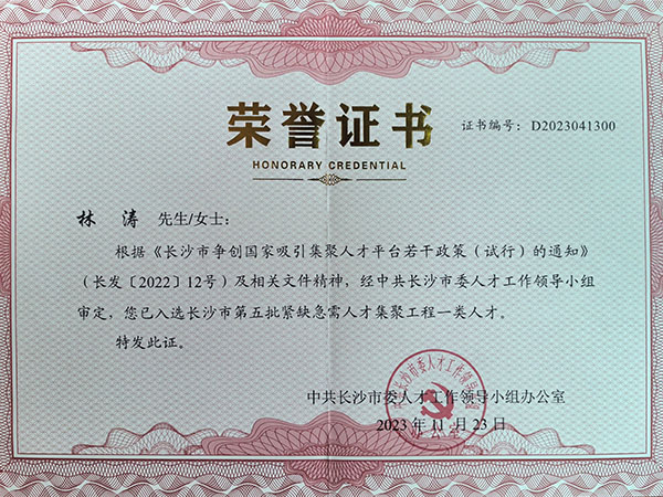 長(zhǎng)沙市緊缺急需人才